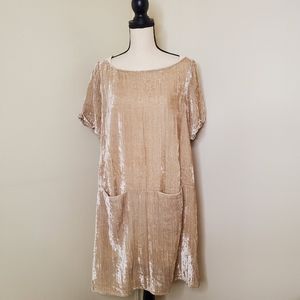 Anthropologie Floreat Champagne Crinkle‎ Velvet Dress Size Medium